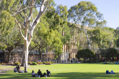 LTU Simpson's lawn